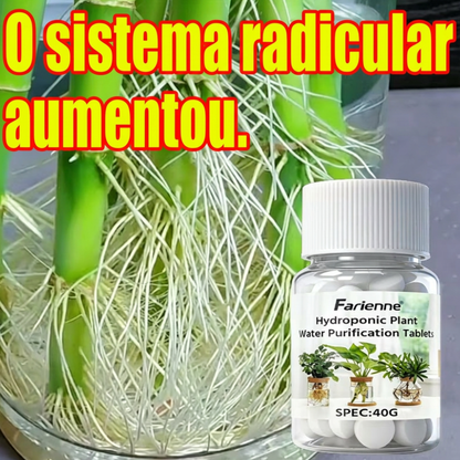 Pastilhas Nutritivas 100 Un.
