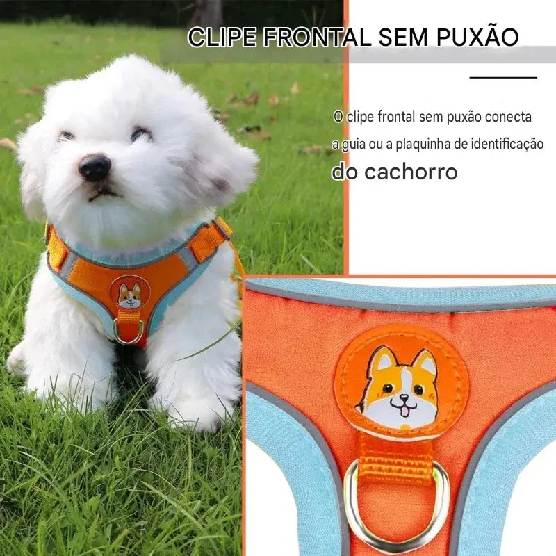 Guia e Peitoral Colete