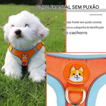 Guia e Peitoral Colete