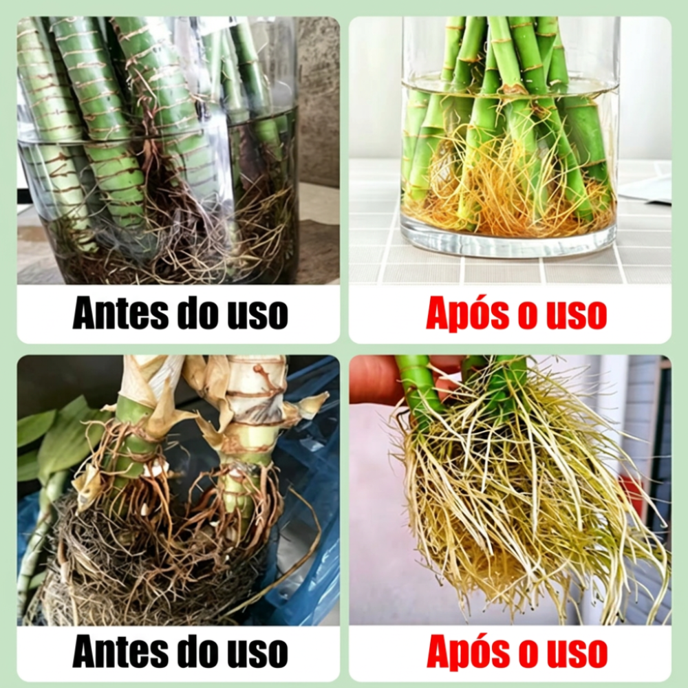 Pastilhas Nutritivas 100 Un.