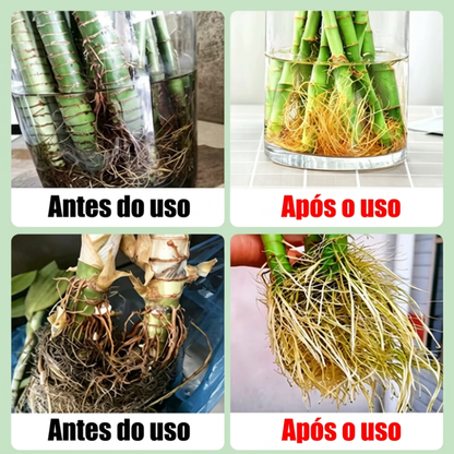 Pastilhas Nutritivas 100 Un.