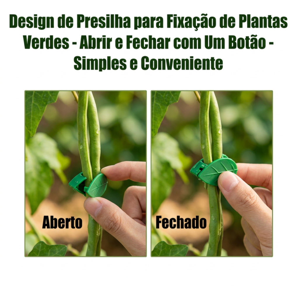 Fixador De Trepadeiras Invisível