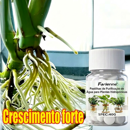 Pastilhas Nutritivas 100 Un.