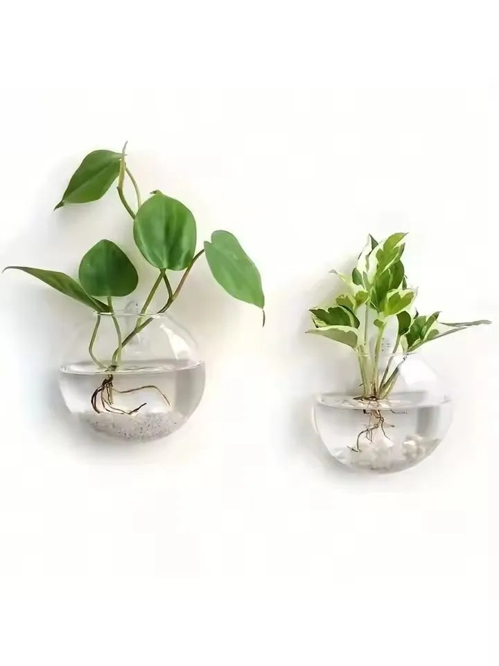 Vaso Hidropônico Autoirrigável Elegante