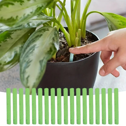 Bastões Fertilizantes Nutritivos 30 Peças