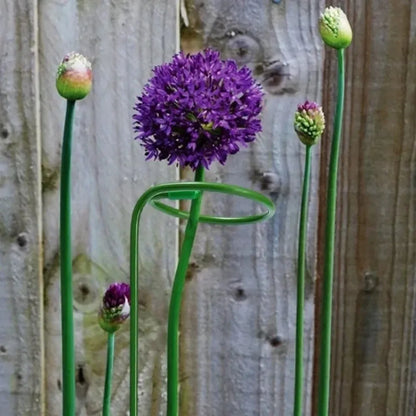 Suporte Metálico Para Plantas