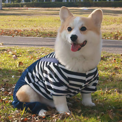 Macacão fleece quentinho pet