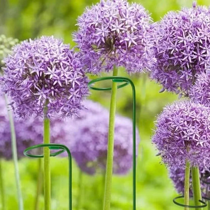 Suporte Metálico Para Plantas